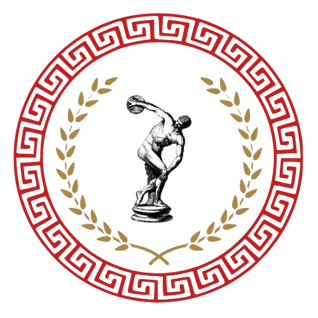 MY Nice Sports logo