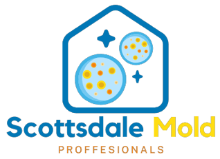 Mold Remediation Scottsdale Experts logo