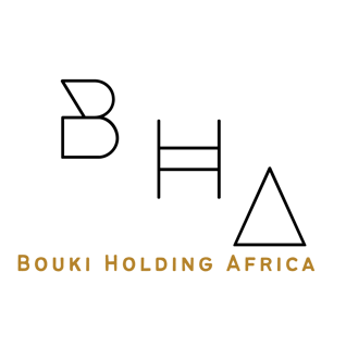 Bouki Holding Africa logo