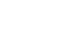 Embark Vision logo