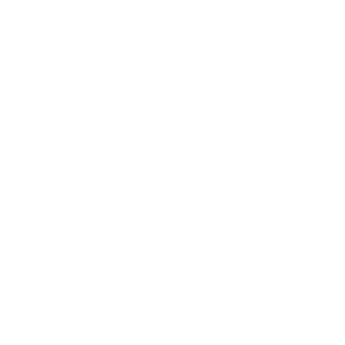 Trident Warfare logo