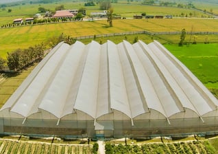 Sustainable rooftop farming project under protected cultivation
