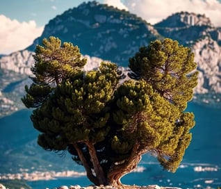 la faune corse
