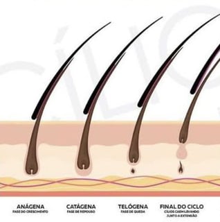 Designer aplicando extensão de cílios com isolamento preciso
