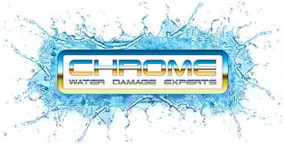 Chrome Logo