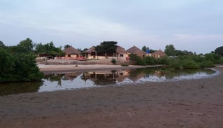 Foto van de pittoreske Tanema-kreek in Brufut, omgeven door lush groen en rustige wateren, perfect v