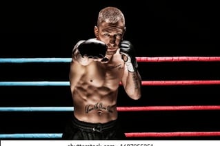 Boxe anglaise saint maur