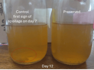tea preserved by cultured dextrose