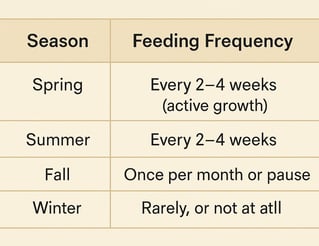 Seasonal plant feeding chart showing how often to fertilize houseplants in spring, summer, fall, and