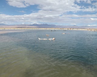 Mujer madre flotando boca arriba sin esfuerzo en laguna Cejar en Atacama Chile