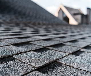 resident shingle roof