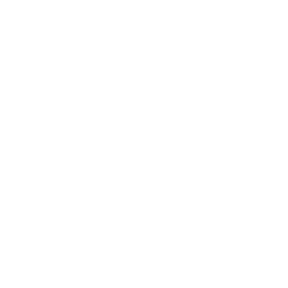 Social_Mind_Inspired_Values