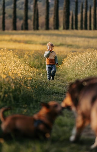 bimbo-che-corre-verso-i-cani