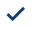 checkmark-icon