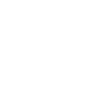 Lleidauto Multimarca logo
