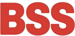 BSS CORPORATION logo