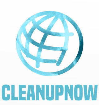 Cleanupnow logo