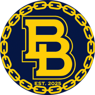 Breakout Bling logo