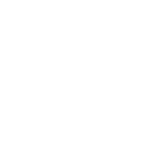 SIELVANSSA logo