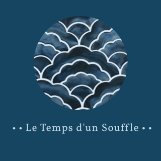 Virginie Perrot logo