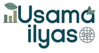 Usama Ilyas – Data Analyst & Researcher logo