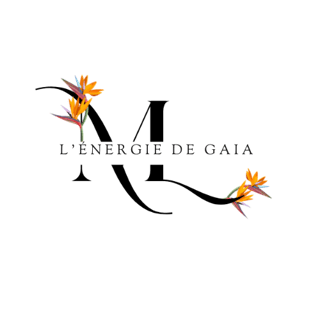 thérapeute thétahealing et kinésiologie logo