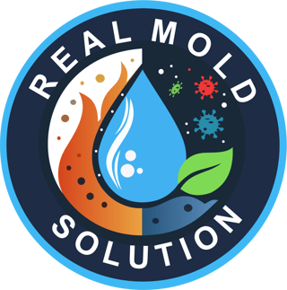Real Mold Solution logo