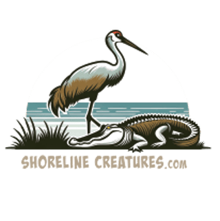 Shoreline Creatures logo