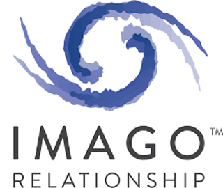 Imago Turkey logo