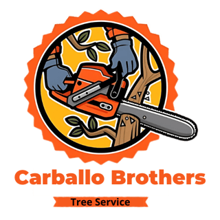 Carballo Brothers logo