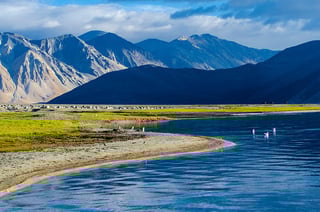 a lake in ladakh with some birds and mountains