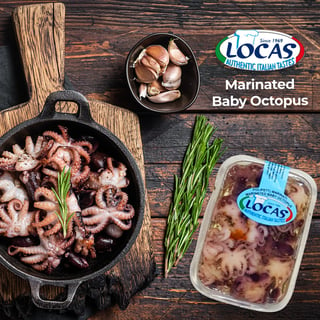 Locas Baby Octopus Malta