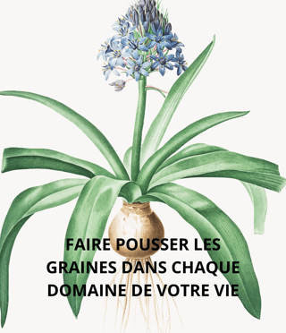 bulbe avec une fleur violette qui pousse, faire pousser les graines avec la sophrologie