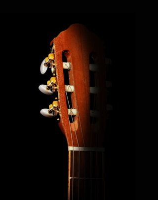 guitar