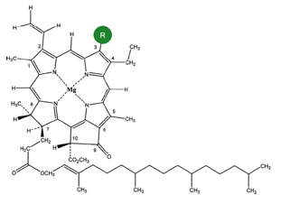 Molécule chlorophylle