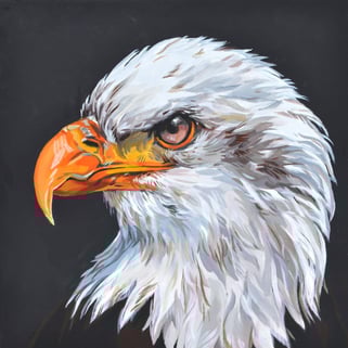 a painting of the head of a bald eagle in profile