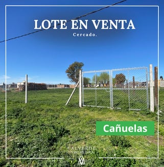 lotes cercados