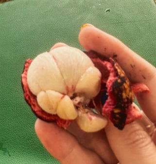 Mangosteen