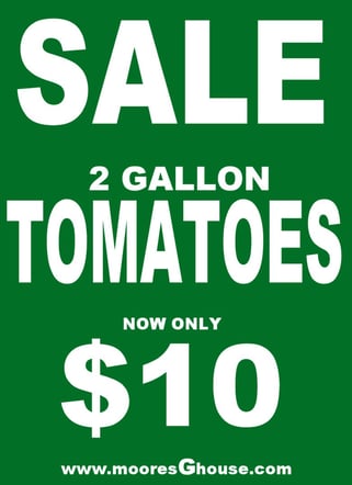 Sale Tomatoes