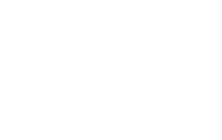 V5 Empresarial logo