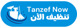 tanzef now logo