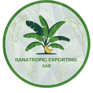 Banatropic Exporting Company logo