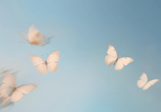 farfalle bianche che volano nel cielo