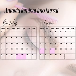 Antakių laminavimo kursai