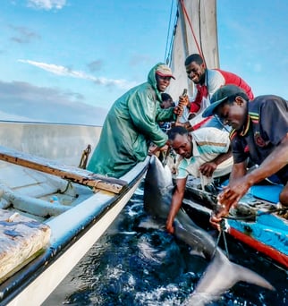 A group of people on a boat with a shark during a Zanzibar fishing charter, exciting Zanzibar 