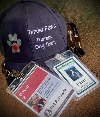 Tender Paws Therapy Dog Team cap with Pet Partners ID and Tennova Healthcare ID.  