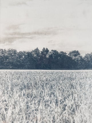 Tirage cyanotype viré au café la ligne en vente