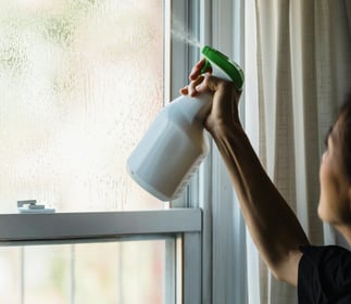 we provide window cleaning services as part of our end of lease cleaning services in sydney