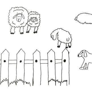 Hays Sheep Coloring Page