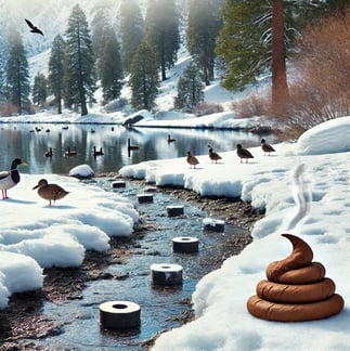 Cold weather pet waste cleanup in Kalamazoo and Portage